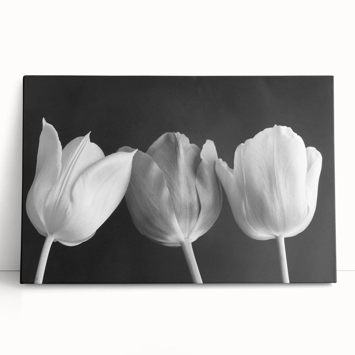 Stretched canvas wall art featuring a vibrant botanical tulip design in shades of pink and green, leaning against a neutral backdrop for an elegant display.