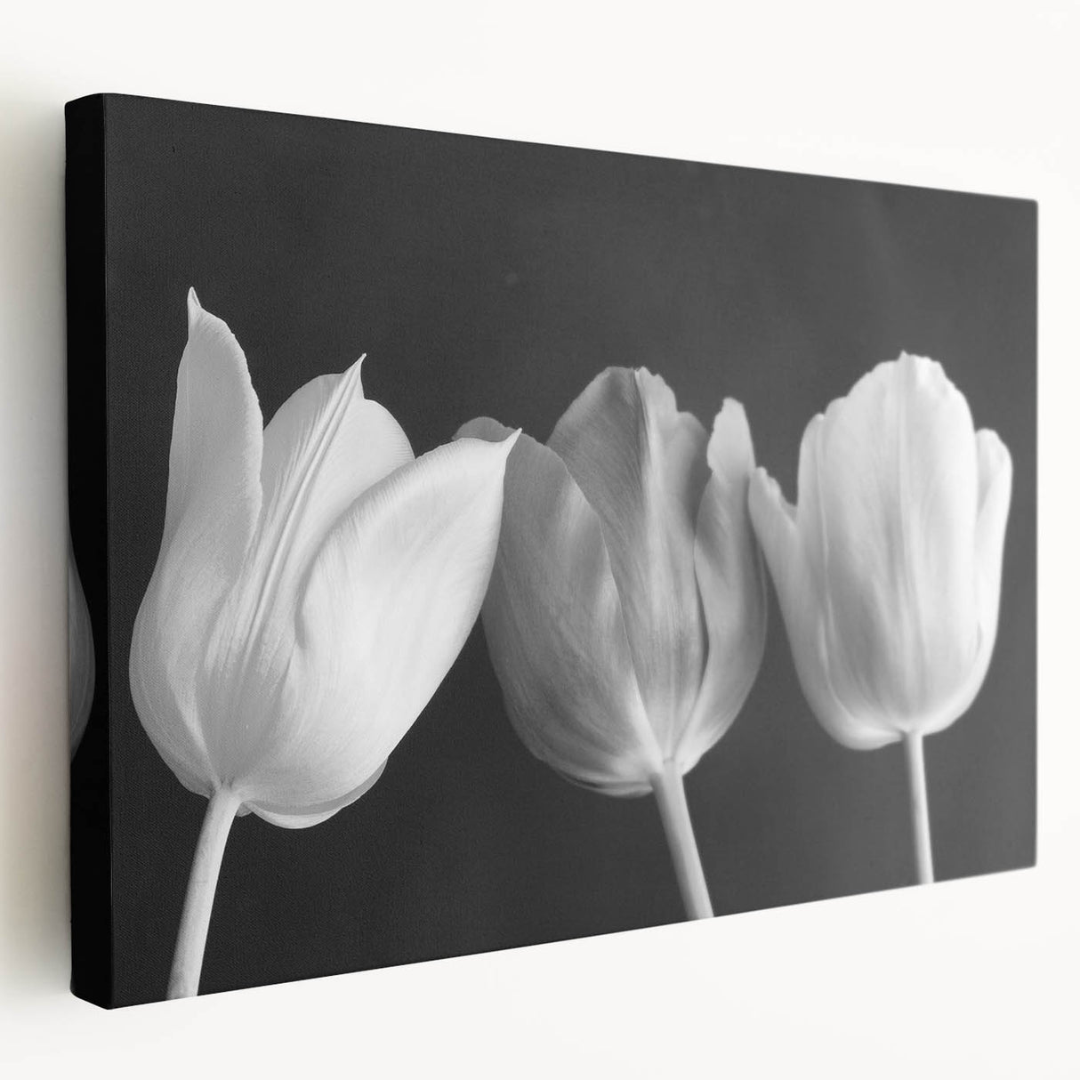 Vibrant botanical wall art featuring a detailed tulip design on stretched canvas, showcasing rich colors and textures ideal for home decor.