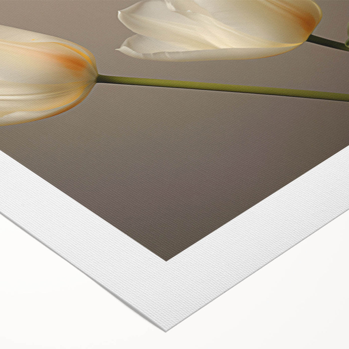 Vibrant botanical wall art design featuring elegant tulips on rolled canvas, showcasing rich colors and intricate details, perfect for home decor accents.
