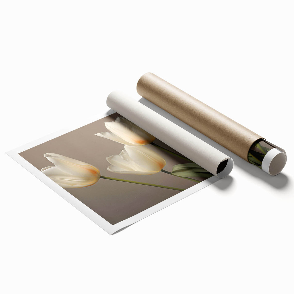 Botanical wall art print showcasing vibrant tulip designs in a modern style, rolled and ready for framing, perfect for enhancing any living space decor.