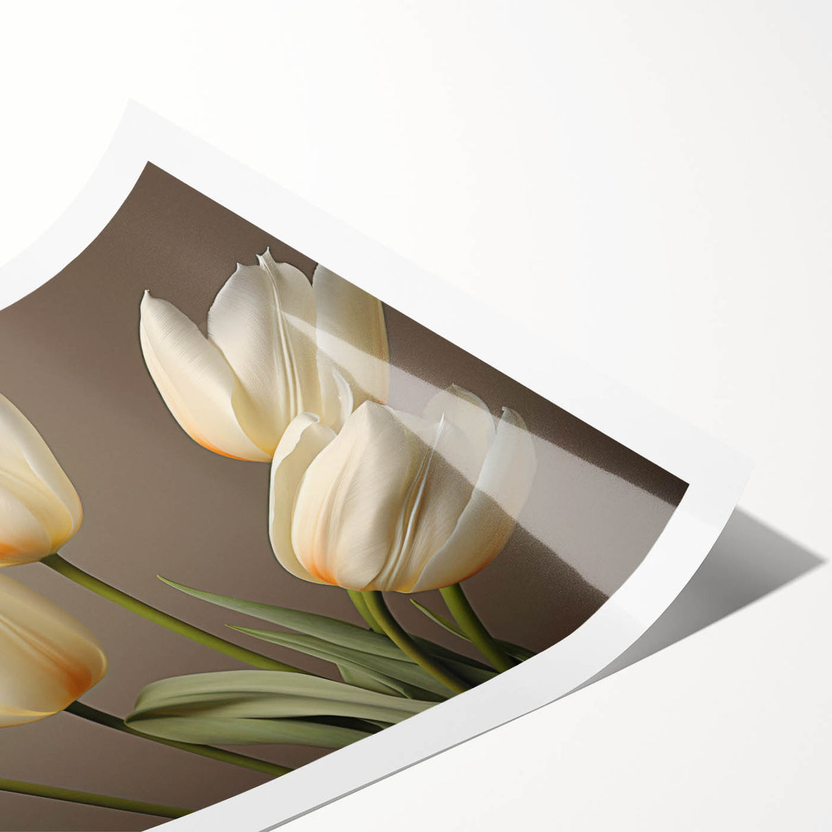 Botanical wall art print featuring vibrant tulip illustrations in various colors, rolled and ready for framing, showcasing intricate floral details. Perfect for home decor.