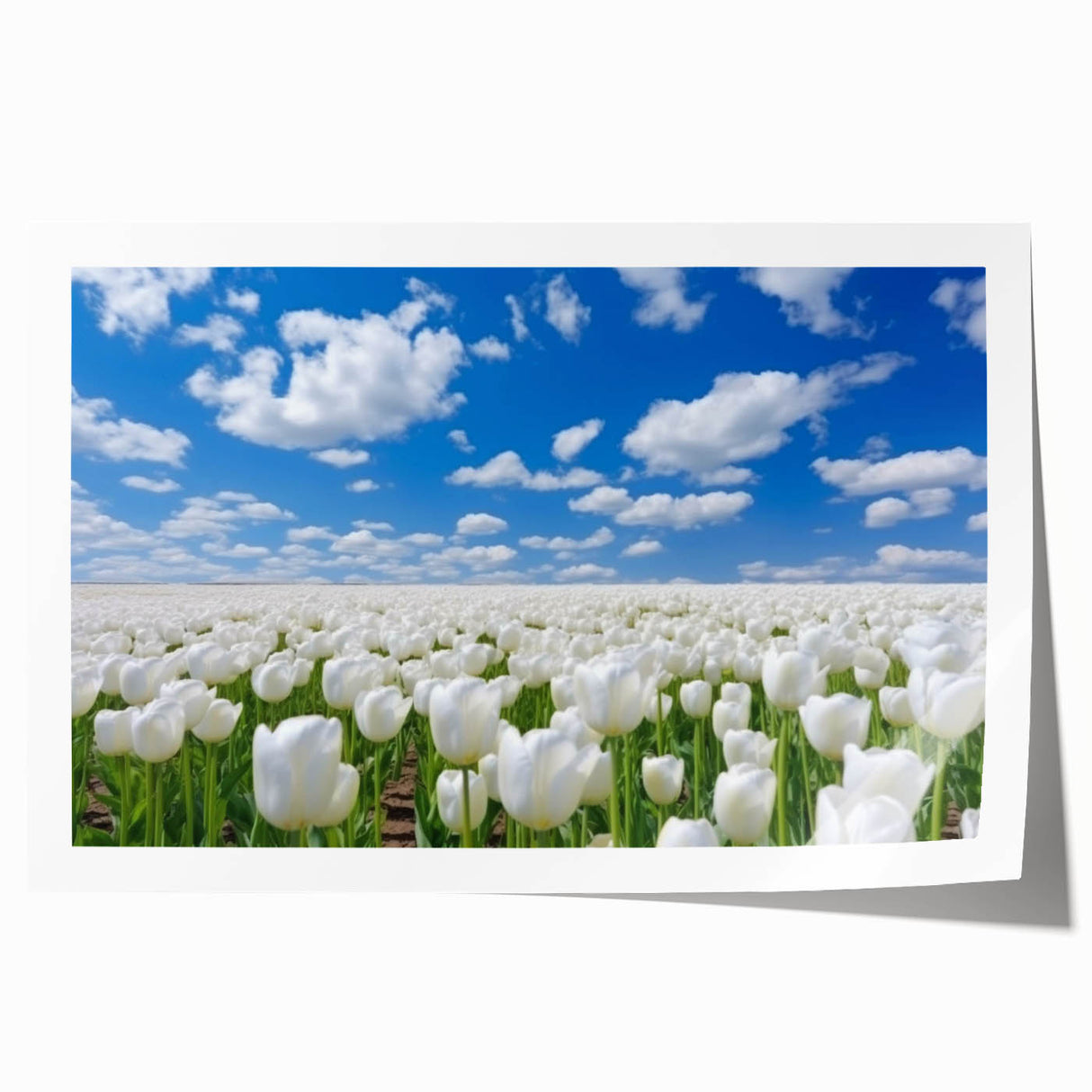 Botanical wall art print showcasing vibrant tulip design in vivid colors, rolled and ready for display, perfect for home decor enthusiasts and floral art lovers.
