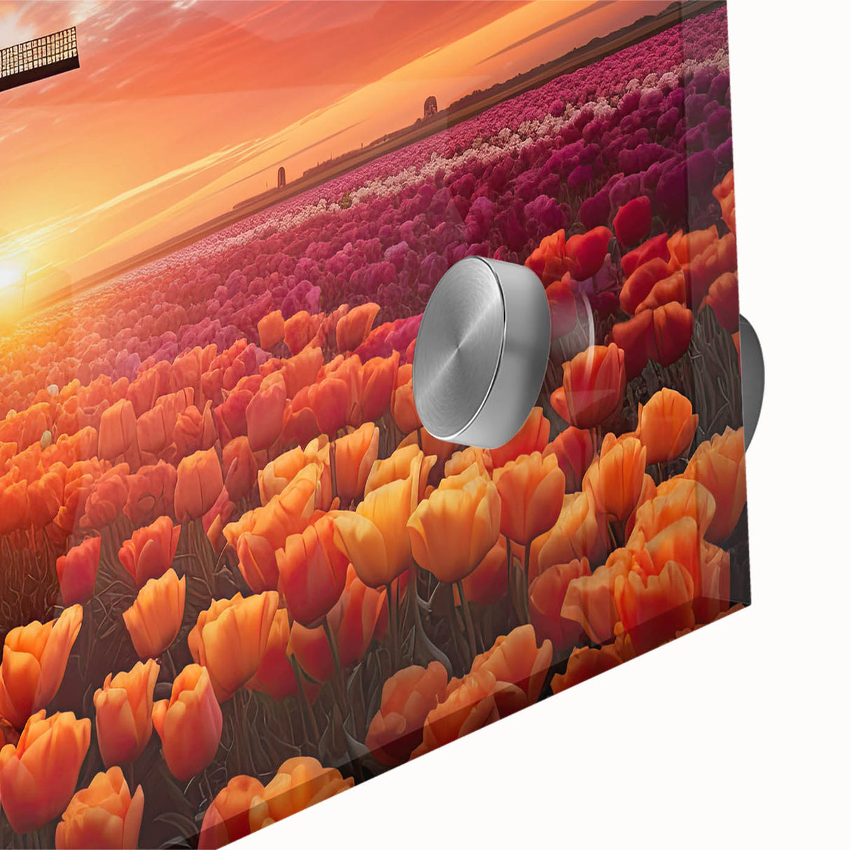 Close-up of a vibrant tulip botanical wall art print featuring intricate details, vivid colors, and a sleek acrylic glass finish, perfect for home decor.