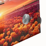 Close-up of a vibrant tulip botanical wall art print featuring intricate details, vivid colors, and a sleek acrylic glass finish, perfect for home decor.