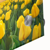 Close-up of a vibrant botanical wall art piece showcasing a tulip design, printed on acrylic glass. The artwork highlights vivid colors and intricate details, perfect for home decor.