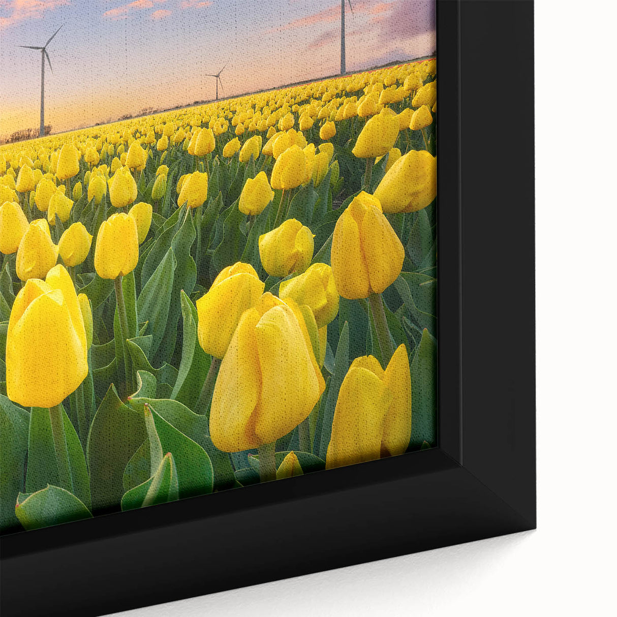 Close-up of a framed botanical wall art piece featuring vibrant tulip illustrations on canvas, showcasing intricate details and rich colors against a neutral background, perfect for home decor enthusiasts.