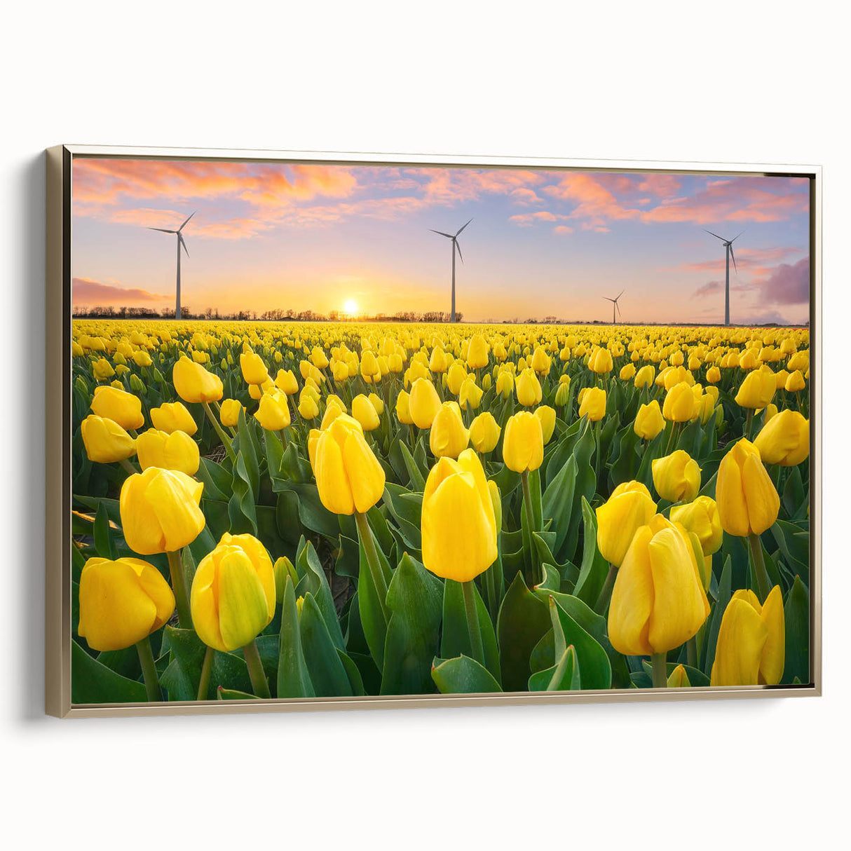 Framed canvas wall art featuring a botanical tulip design in vibrant colors, elegantly displayed with a gold frame, perfect for home decor enhancement.