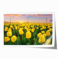Botanical wall art print showcasing a vibrant tulip design in various colors, rolled and ready for framing, perfect for home decor enthusiasts and floral art lovers.