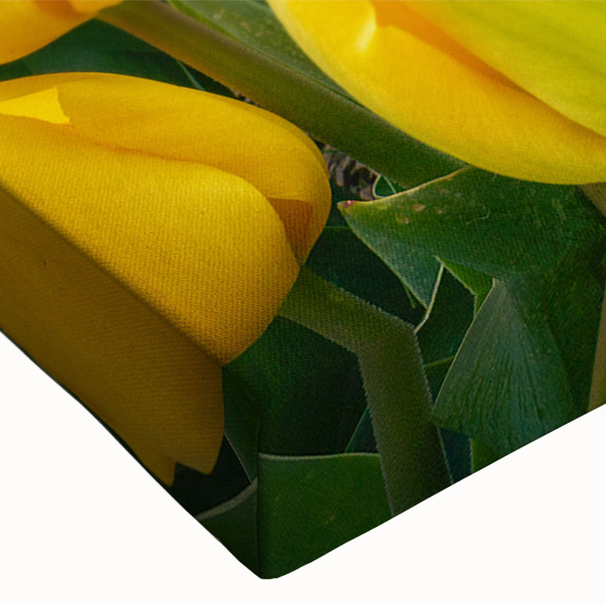 Close-up of a vibrant botanical tulip design on stretched canvas, showcasing intricate details and vivid colors, perfect for floral wall art enthusiasts.