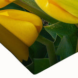 Close-up of a vibrant botanical tulip design on stretched canvas, showcasing intricate details and vivid colors, perfect for floral wall art enthusiasts.