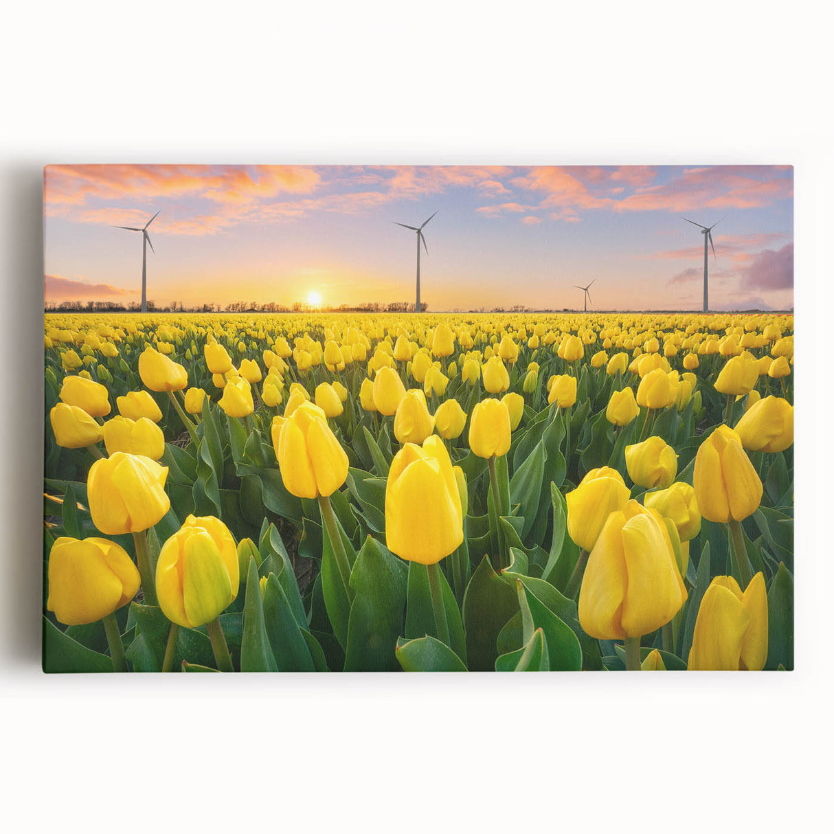 Stretched canvas wall art featuring a vibrant botanical tulip design, showcasing detailed floral illustrations in bright colors, perfect for home decor.