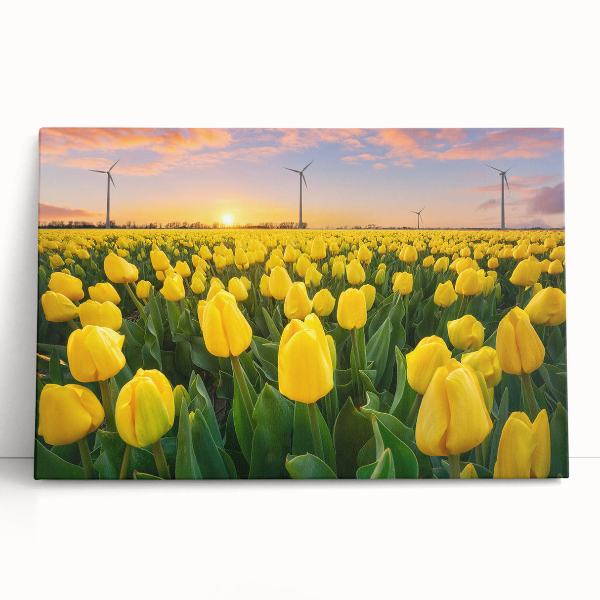 Stretched canvas wall art featuring a vibrant botanical tulip design in soft pastels, elegantly leaning against a neutral backdrop, perfect for home decor enhancement.