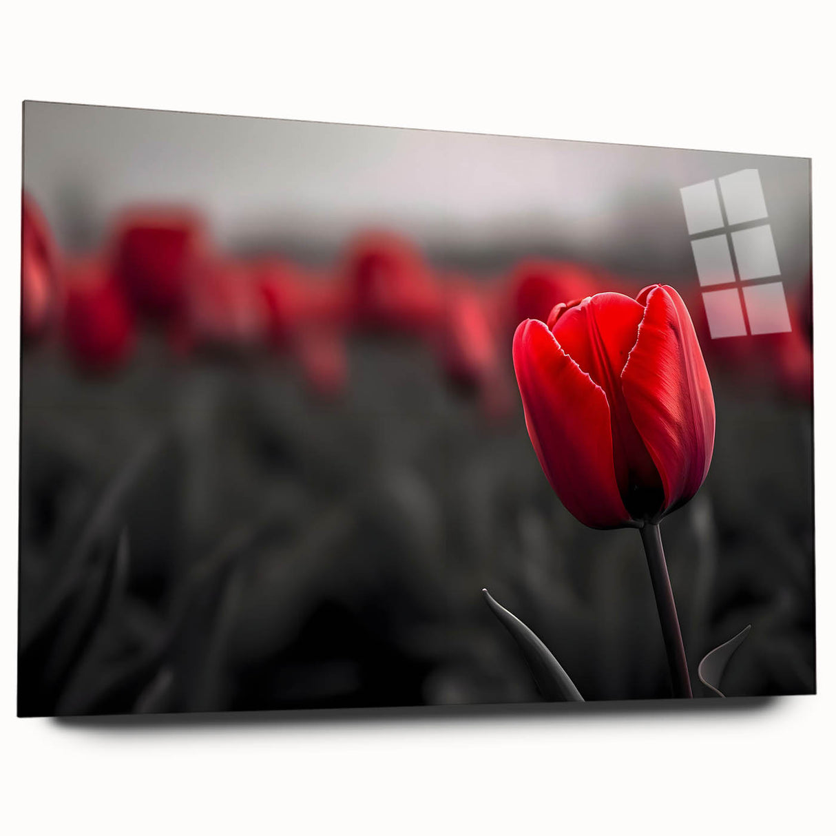 Side view of a botanical tulip wall art piece encased in acrylic glass, showcasing vibrant colors and intricate floral details, perfect for home decor.
