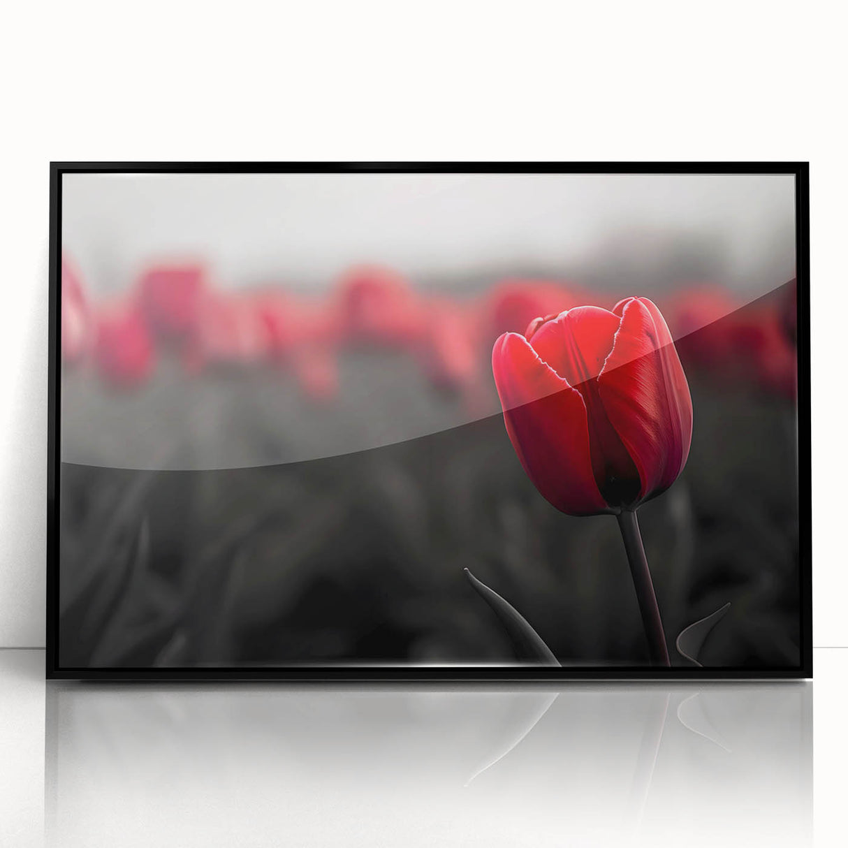 Framed botanical wall art showcasing a vibrant tulip design with a black frame, perfect for modern home decor. Adds a touch of elegance to any room.