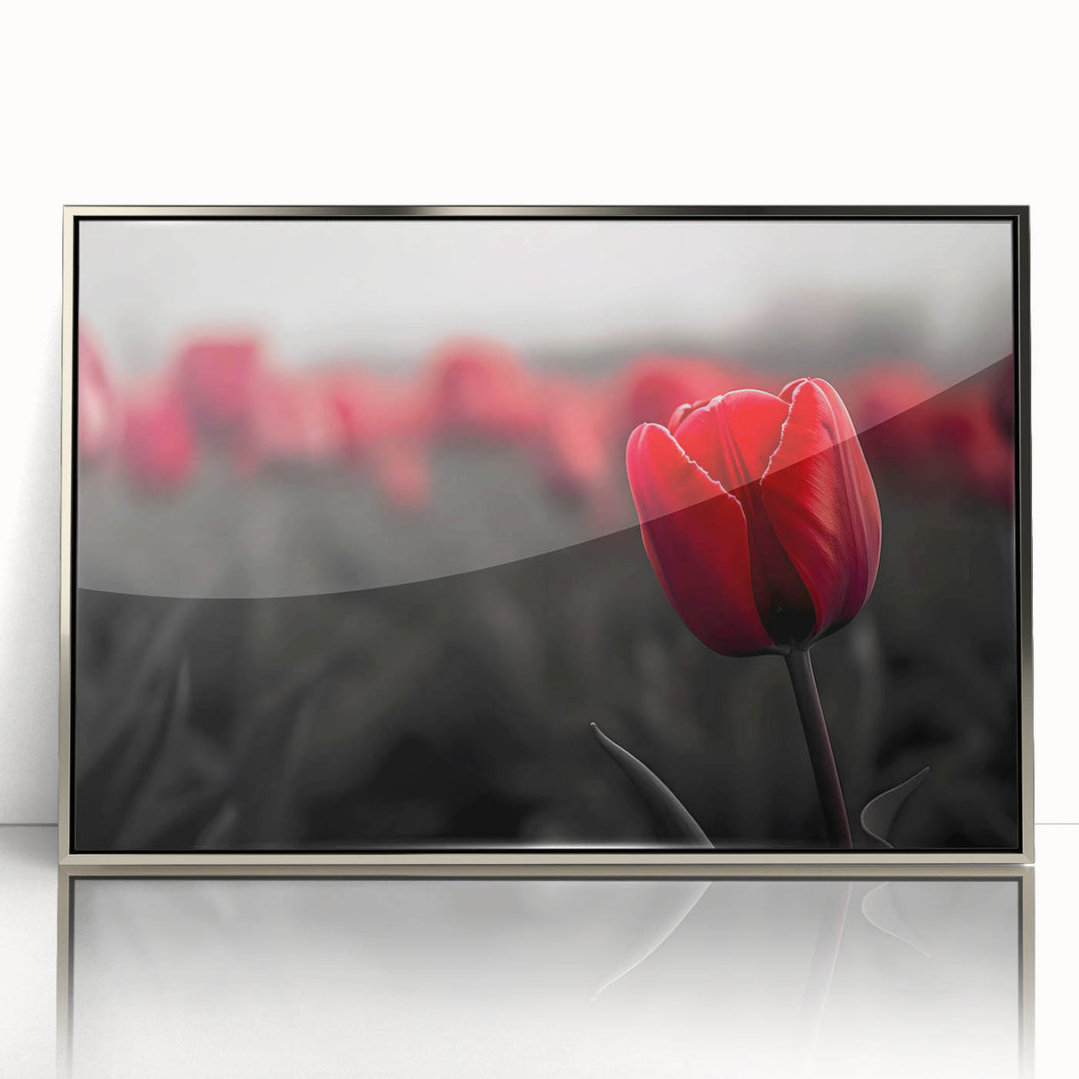 Framed wall art featuring a botanical tulip design in vibrant colors, set in a silver frame with acrylic front, ideal for modern home decor.