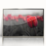 Framed wall art featuring a botanical tulip design in vibrant colors, set in a silver frame with acrylic front, ideal for modern home decor.