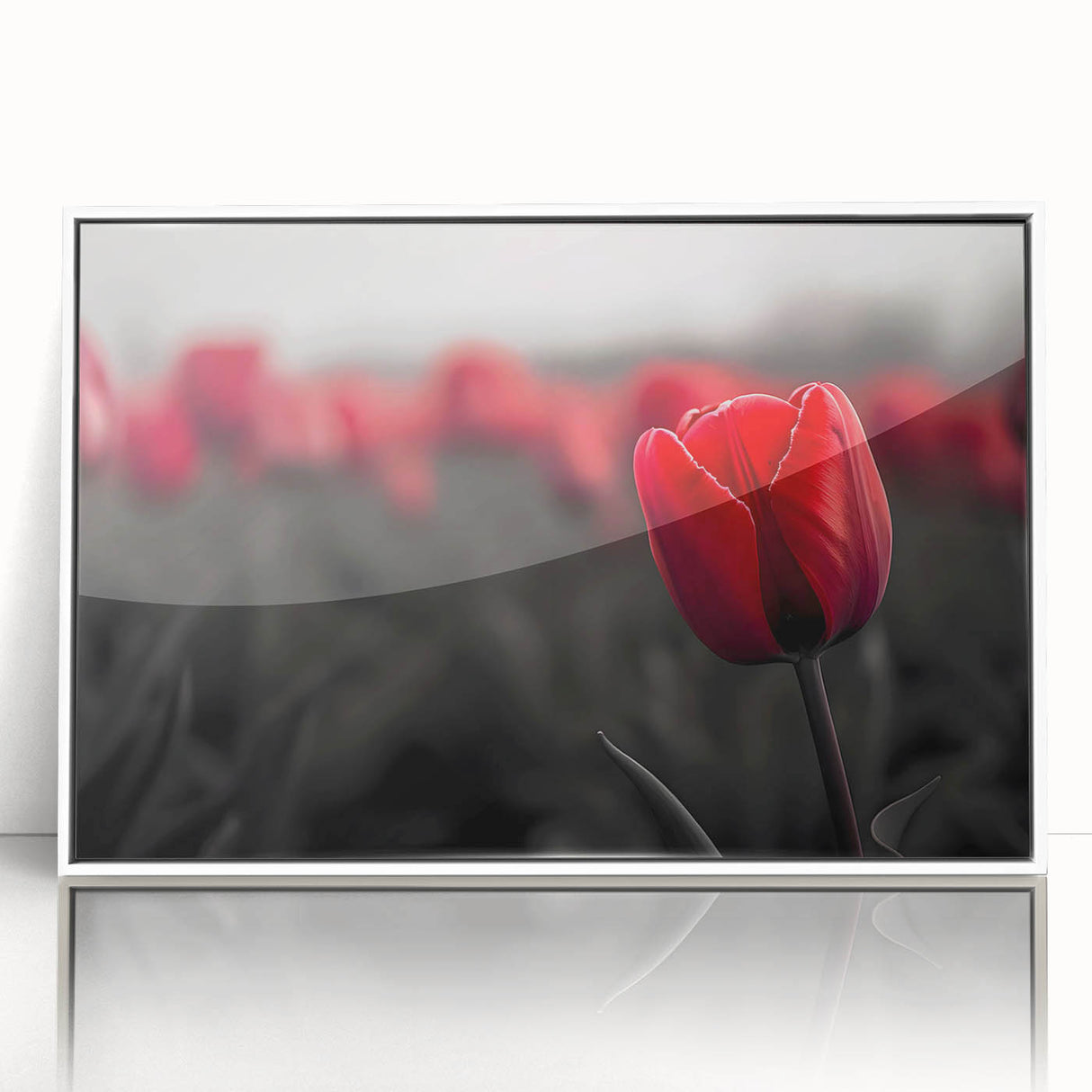 Framed botanical wall art featuring vibrant tulip designs in shades of pink and yellow, set against a white background, ideal for home decor and floral aesthetics.