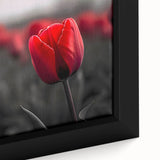 Close-up of a framed botanical wall art piece showcasing vibrant tulips in a colorful design, perfect for home decor, adding a touch of nature and elegance.