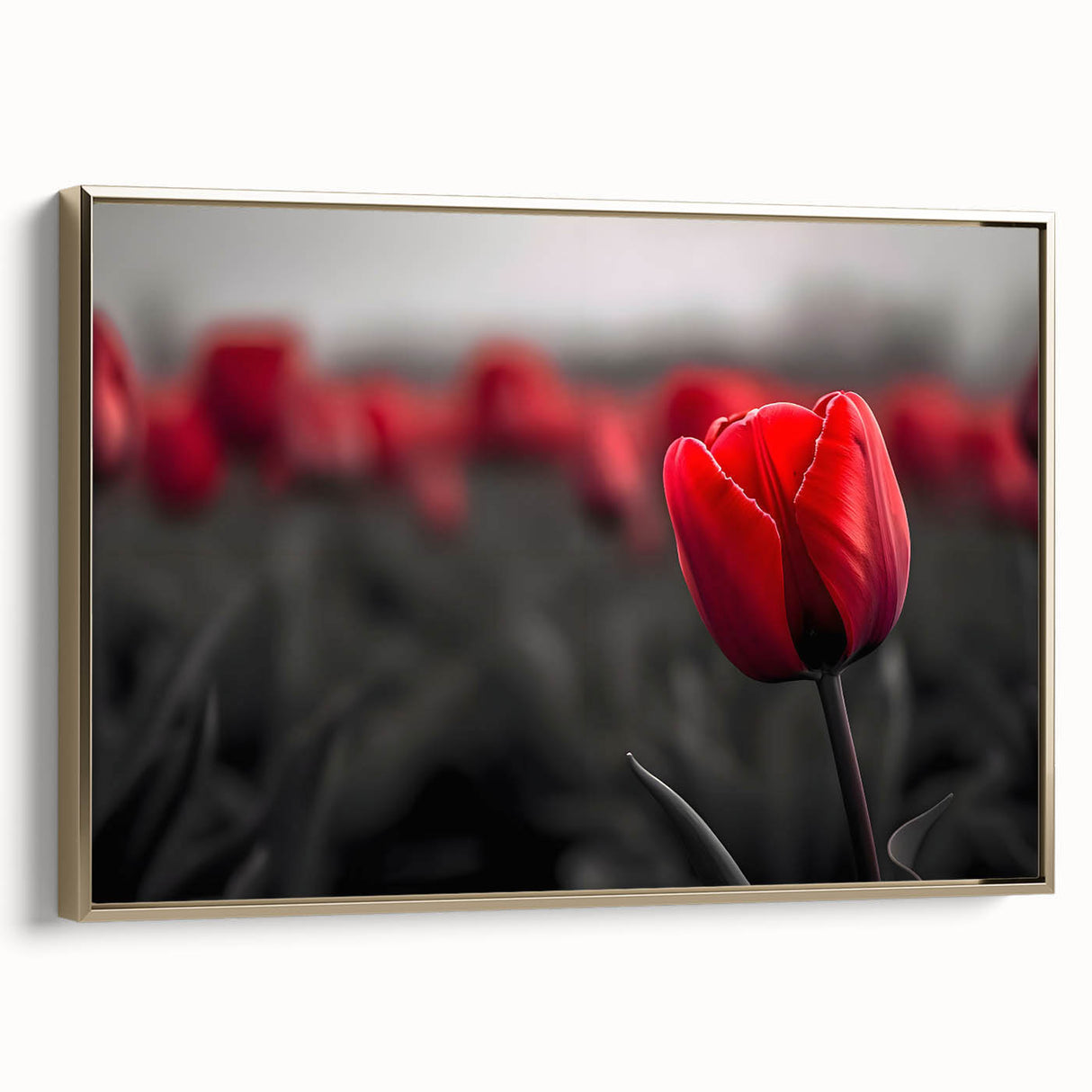 Framed botanical wall art showcasing a vibrant tulip design on canvas, featuring a gold frame that enhances its elegance, perfect for home decor.