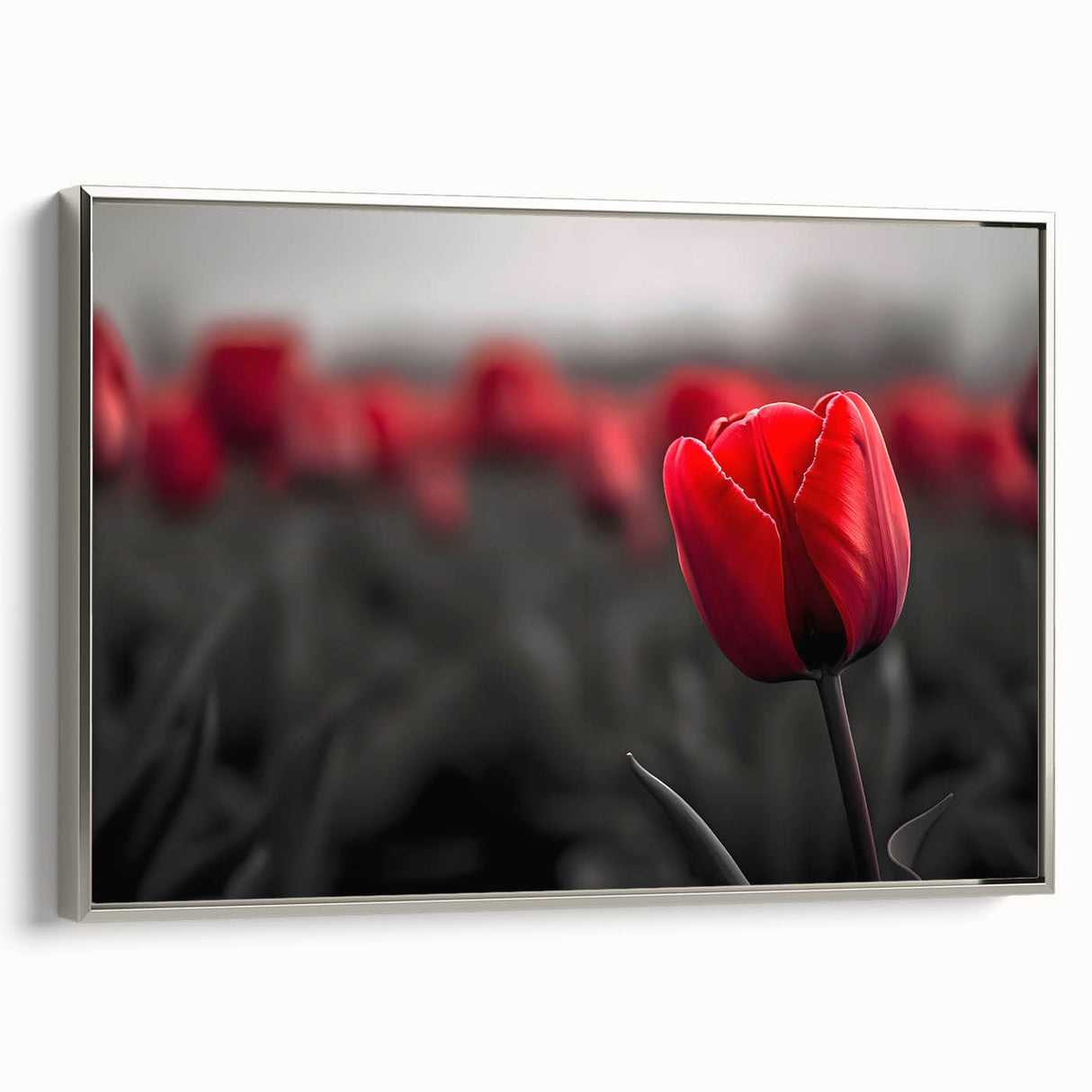 Framed botanical wall art featuring a vibrant tulip design on canvas, showcasing a sleek silver frame from a side view, perfect for home decor enhancement.