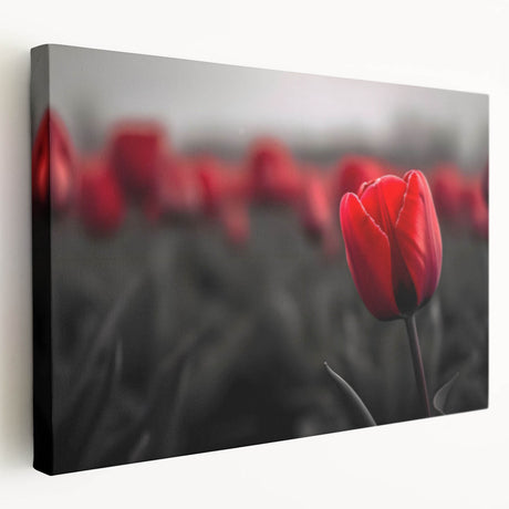 Stretched canvas featuring a botanical tulip design in vibrant colors, showcasing detailed floral illustrations, perfect for home decor and wall art enthusiasts.