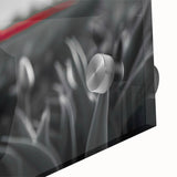 Vibrant close-up of a botanical tulip design wall art piece, featuring rich colors and intricate details, displayed on acrylic glass for a modern aesthetic.