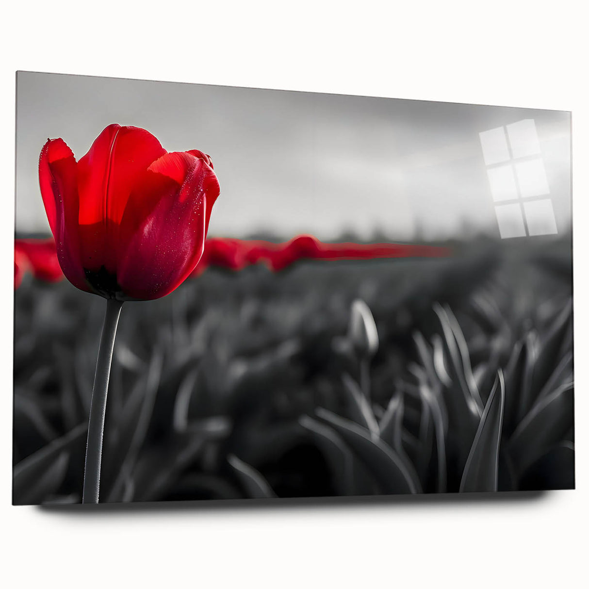 Elegant botanical wall art showcasing a vibrant tulip design on acrylic glass, displayed in a side view to highlight its sleek edges and vivid colors, perfect for home decor.