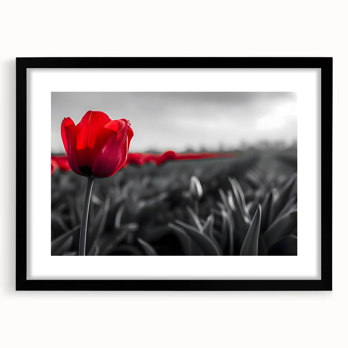 Framed botanical wall art showcasing a vibrant tulip design in a black frame with a white mat, ideal for enhancing home decor and adding a touch of nature.