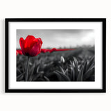 Framed botanical wall art showcasing a vibrant tulip design in a black frame with a white mat, ideal for enhancing home decor and adding a touch of nature.