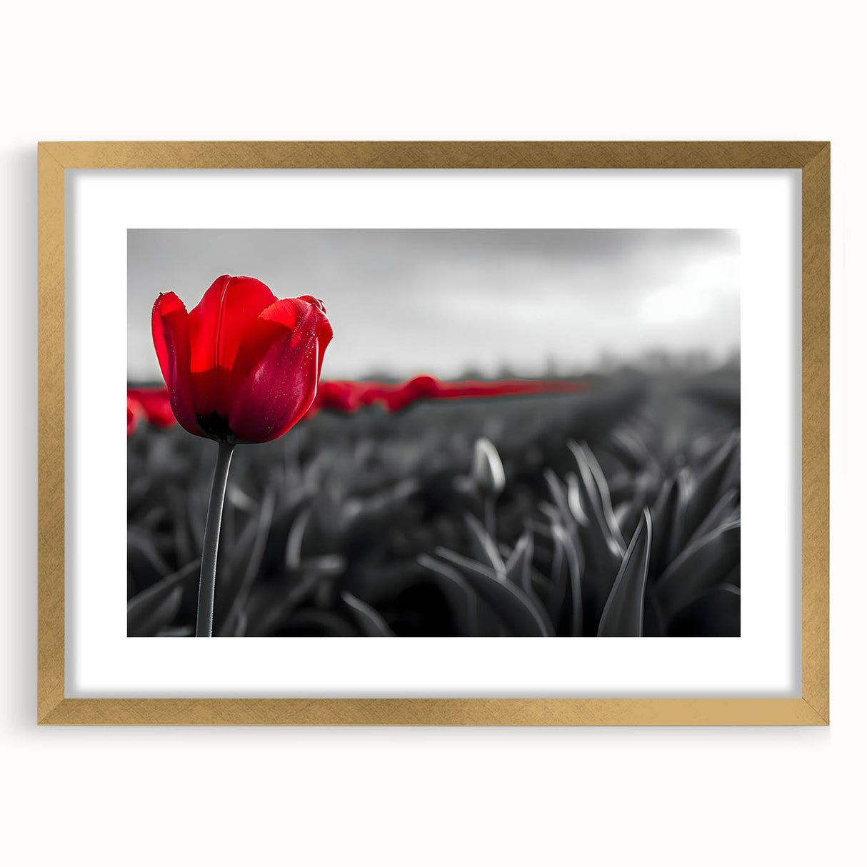 Botanical wall art featuring a gold-framed tulip design with a mat, showcasing vibrant colors and intricate details, perfect for enhancing home decor aesthetics.