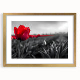 Botanical wall art featuring a gold-framed tulip design with a mat, showcasing vibrant colors and intricate details, perfect for enhancing home decor aesthetics.