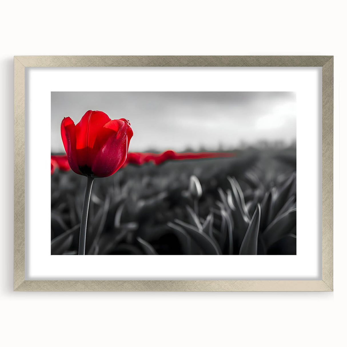 Framed botanical wall art featuring a detailed tulip design in soft colors, set in a silver frame with a white mat, perfect for home decor enhancement.