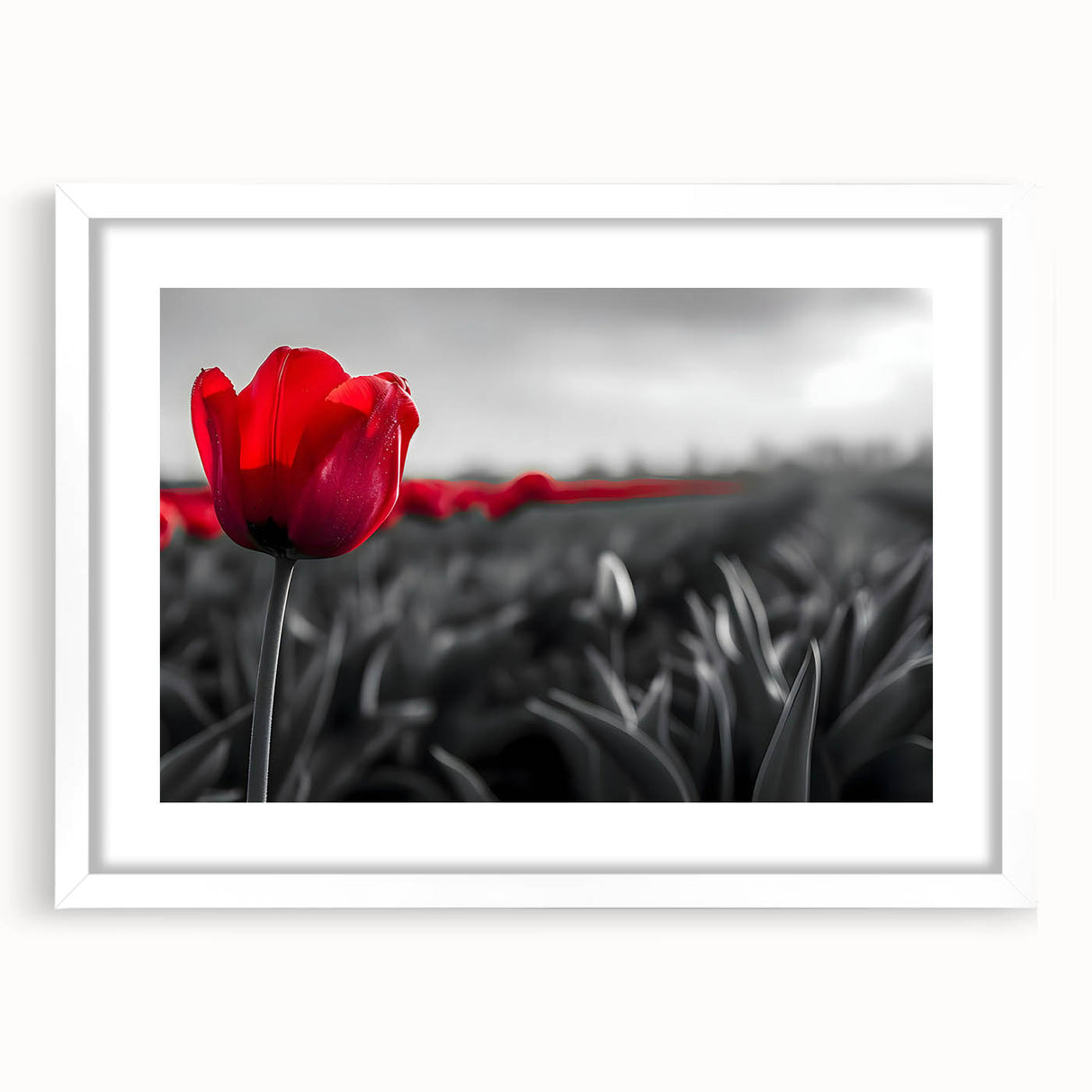 Botanical wall art featuring a stunning tulip design in vibrant colors, framed with a white mat for an elegant presentation, perfect for home decor.