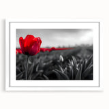 Botanical wall art featuring a stunning tulip design in vibrant colors, framed with a white mat for an elegant presentation, perfect for home decor.