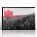 Framed botanical wall art showcasing a vibrant tulip design with a sleek black frame, ideal for enhancing modern home decor and adding a touch of nature to any room.