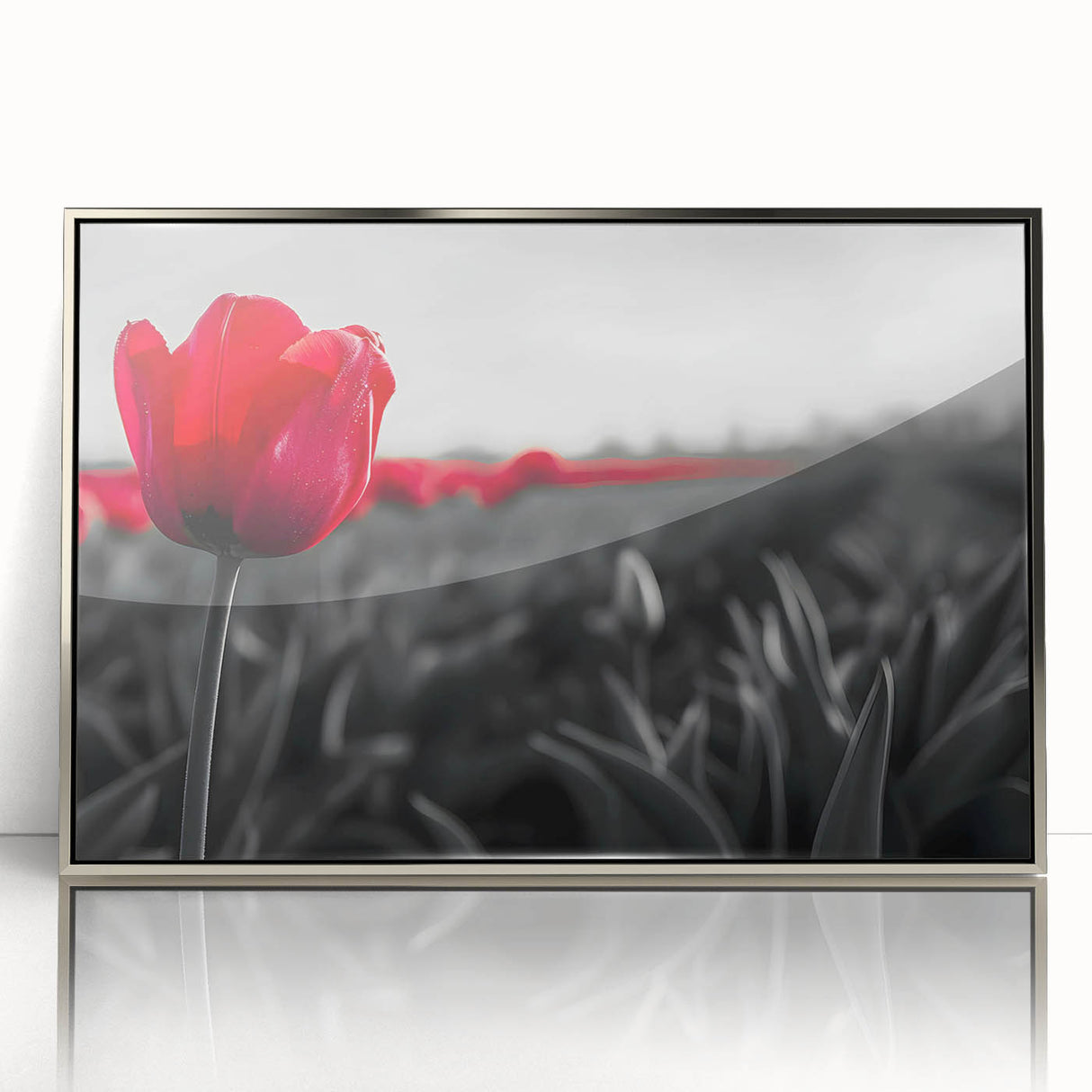 Framed botanical wall art featuring a vibrant tulip design, elegantly displayed with a silver acrylic front, perfect for adding a touch of nature to modern decor.