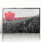 Framed botanical wall art featuring a vibrant tulip design, elegantly displayed with a silver acrylic front, perfect for adding a touch of nature to modern decor.
