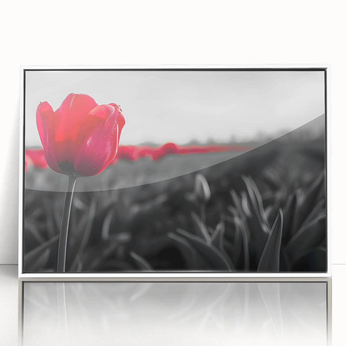 Framed wall art featuring a botanical design of colorful tulips in an elegant white frame, ideal for brightening home decor and adding a touch of nature.