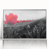 Framed wall art featuring a botanical design of colorful tulips in an elegant white frame, ideal for brightening home decor and adding a touch of nature.