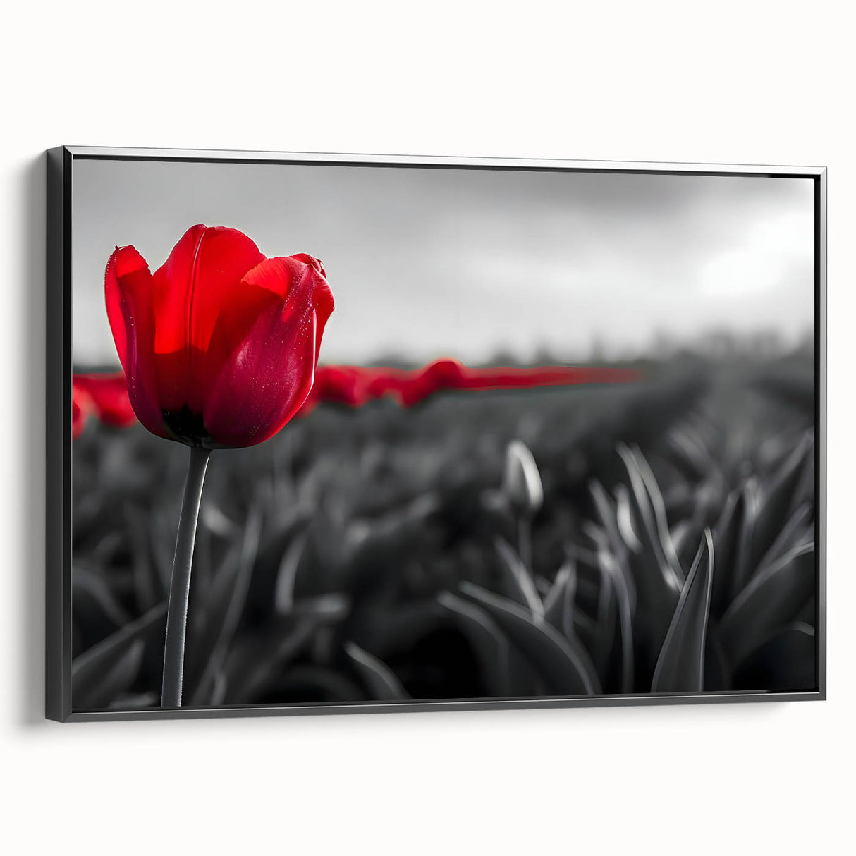 Framed canvas wall art featuring a botanical tulip design in vibrant colors, displayed from a black side view, perfect for enhancing home decor aesthetics.