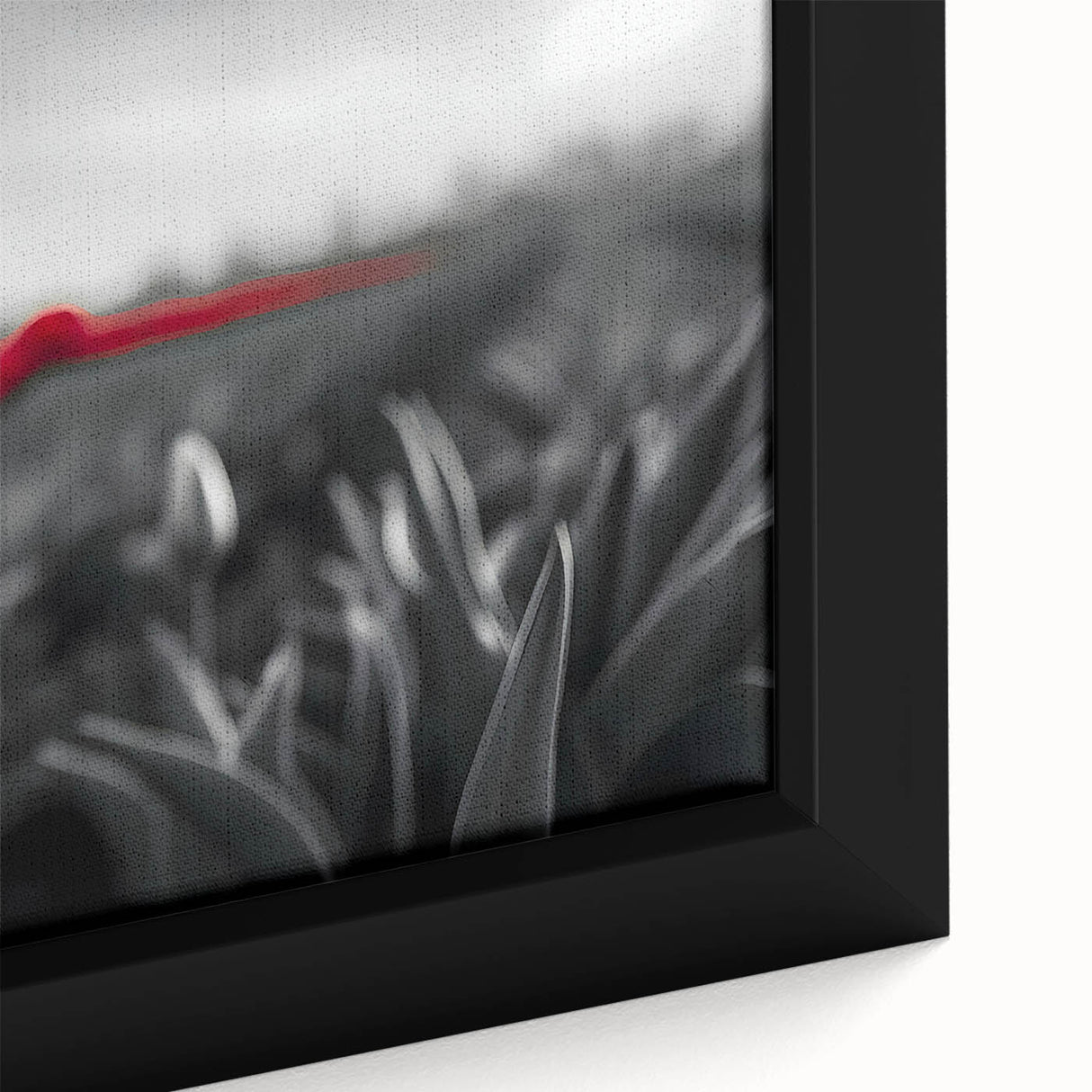 Close-up of a framed canvas wall art piece showcasing a botanical tulip design with vibrant colors and intricate details, ideal for home decor enhancement.
