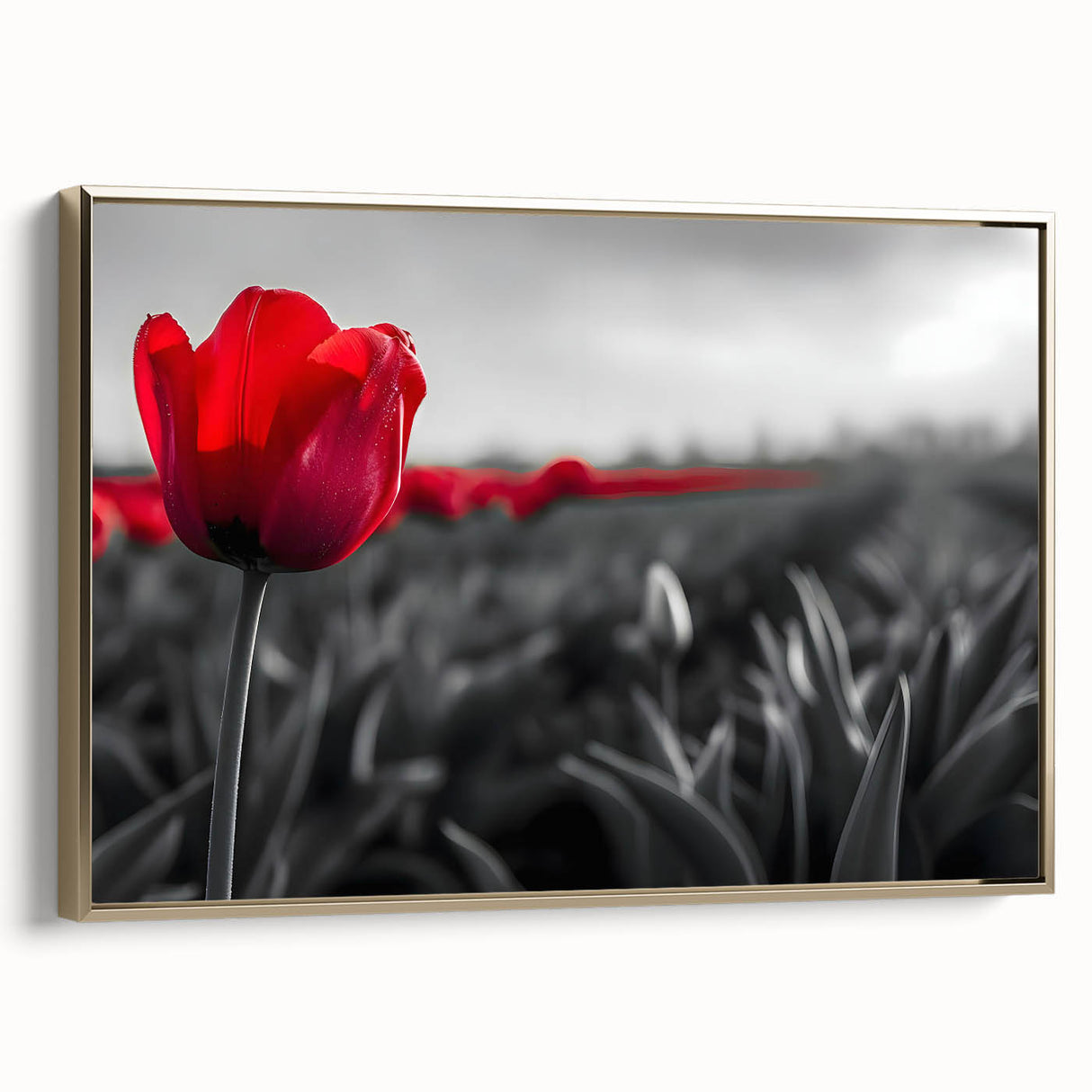 Framed canvas wall art showcasing a botanical tulip design in vibrant colors, set against a gold frame, ideal for home decor and floral enthusiasts.
