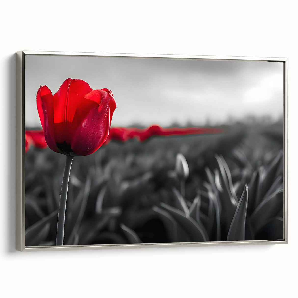 Framed canvas wall art showcasing a botanical tulip design with a silver frame, highlighting vibrant colors and intricate details, perfect for home decor.