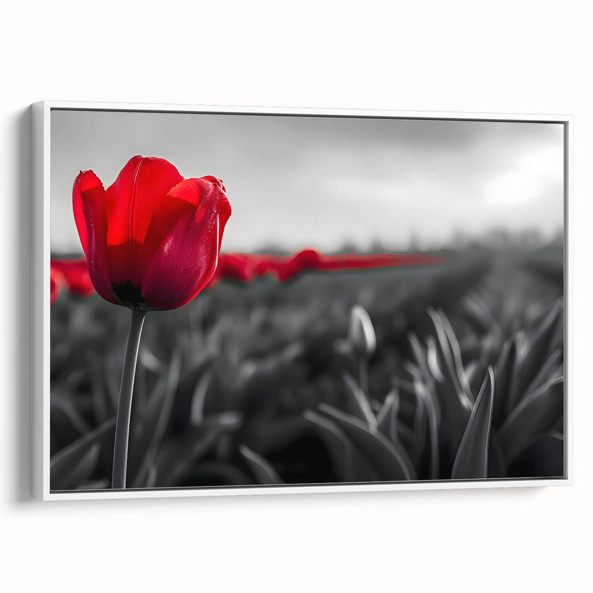Framed canvas wall art showcasing a botanical tulip design in vibrant colors, set against a white background, perfect for enhancing modern home decor with floral elegance.