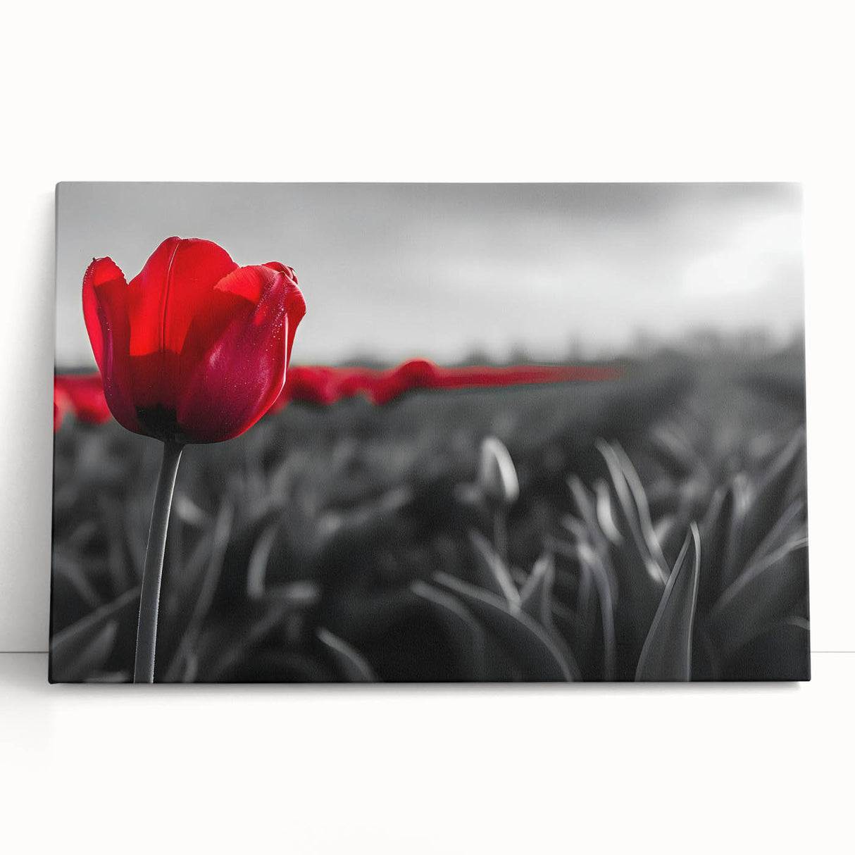Vibrant botanical wall art featuring a collection of colorful tulips on stretched canvas, leaning against a neutral backdrop, perfect for home decor enthusiasts.