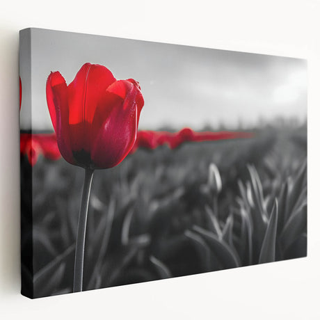 Stretched canvas showcasing a vibrant botanical tulip design in a side view, emphasizing vivid colors and intricate details, perfect for floral decor enthusiasts.