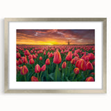 Botanical tulip wall art collection framed with a silver mat, showcasing vibrant colors and intricate floral designs, perfect for home decor enhancement.