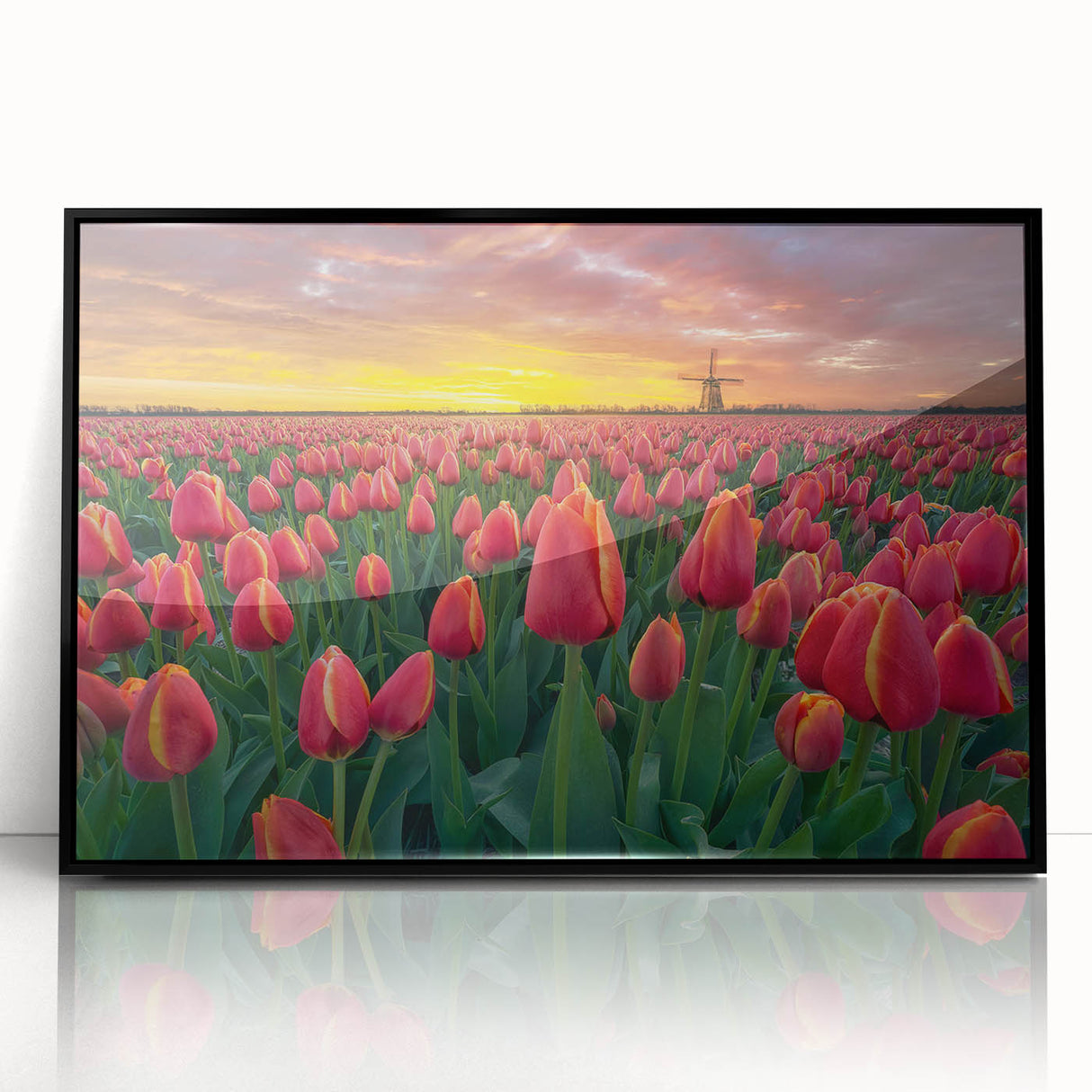 Framed botanical wall art featuring a vibrant tulip design in black acrylic, showcasing detailed floral elements, ideal for modern home decor.