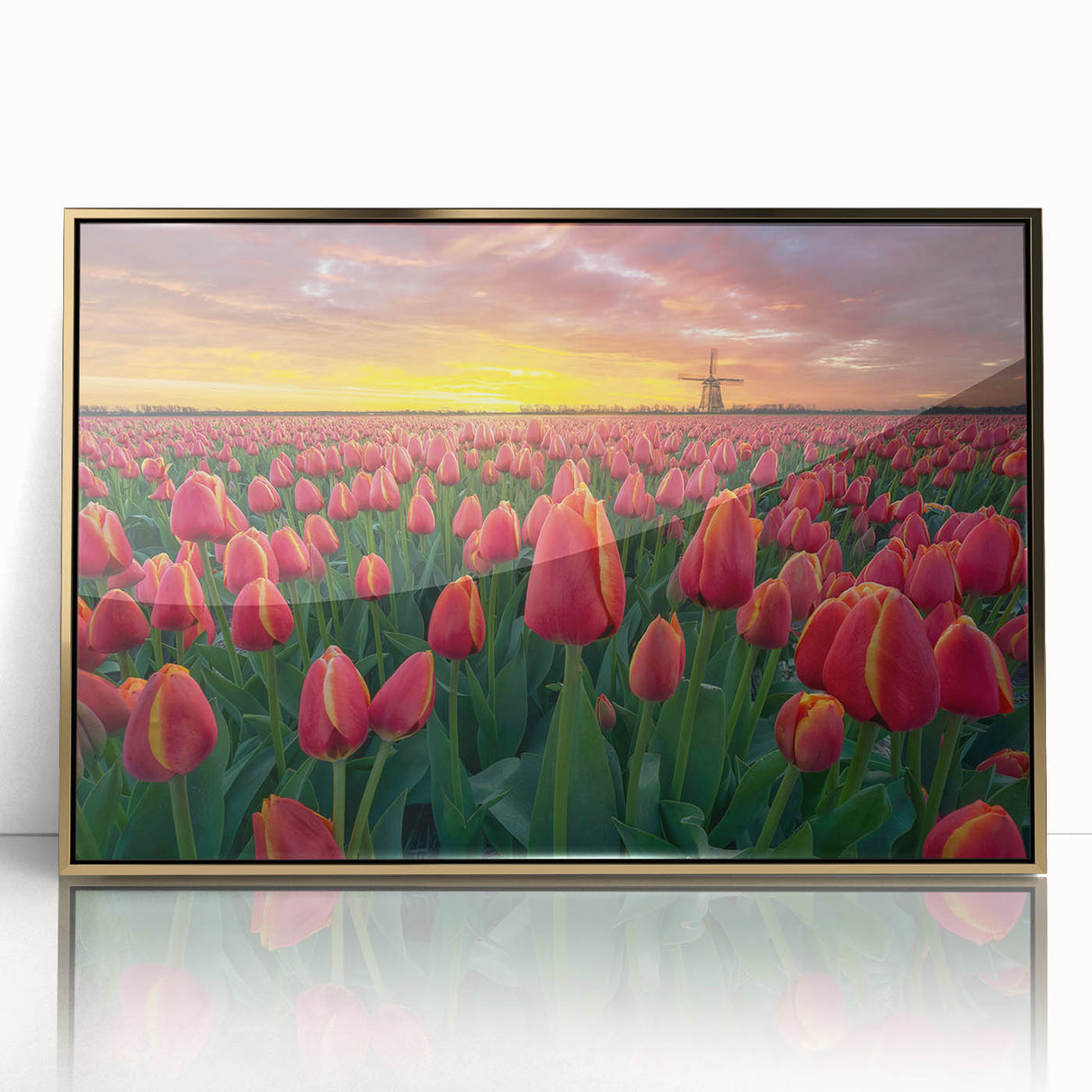 Framed botanical wall art showcasing a vibrant tulip design in gold-accented acrylic, perfect for adding elegance to modern home decor.