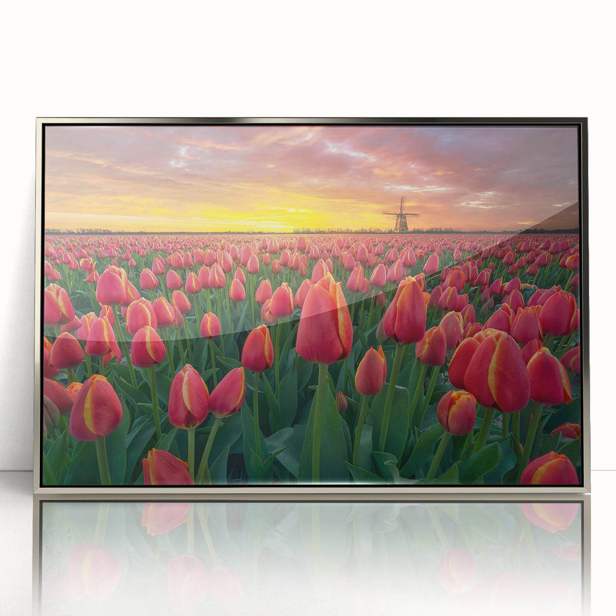 Framed botanical wall art showcasing a vibrant tulip design with a silver-acrylic frame, perfect for enhancing modern home decor. Ideal for floral enthusiasts.